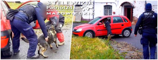 [VIDEO] Szkolenie policyjnych czworonogów - posłuszeństwo i obrona przewodnika